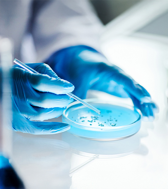 iStock-2176475781 iStock-2176475781